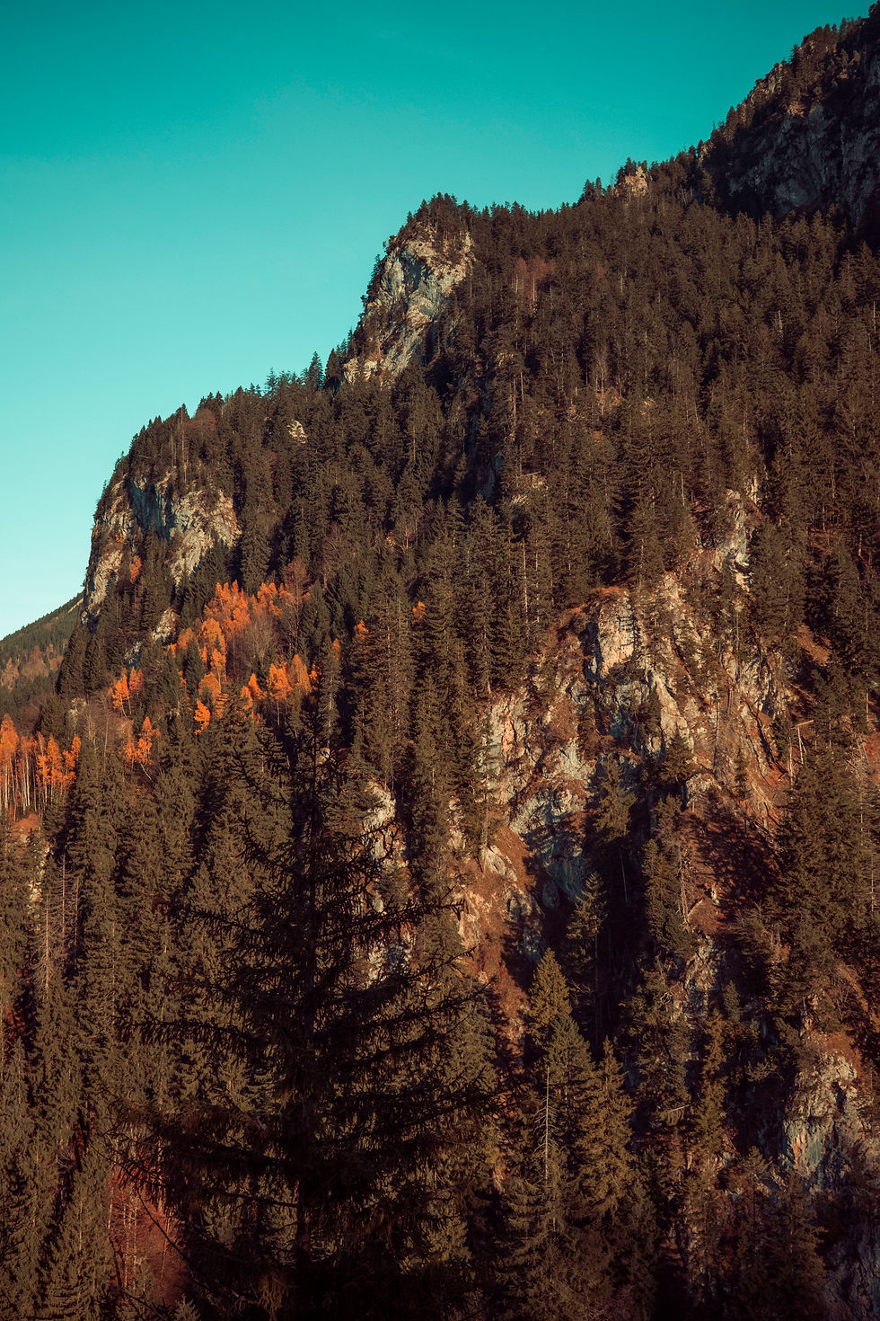 Power in beauty: Creation