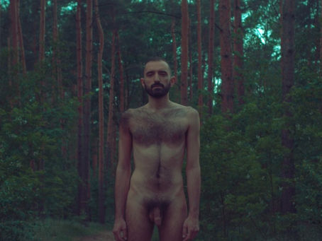 Francesco, 2016