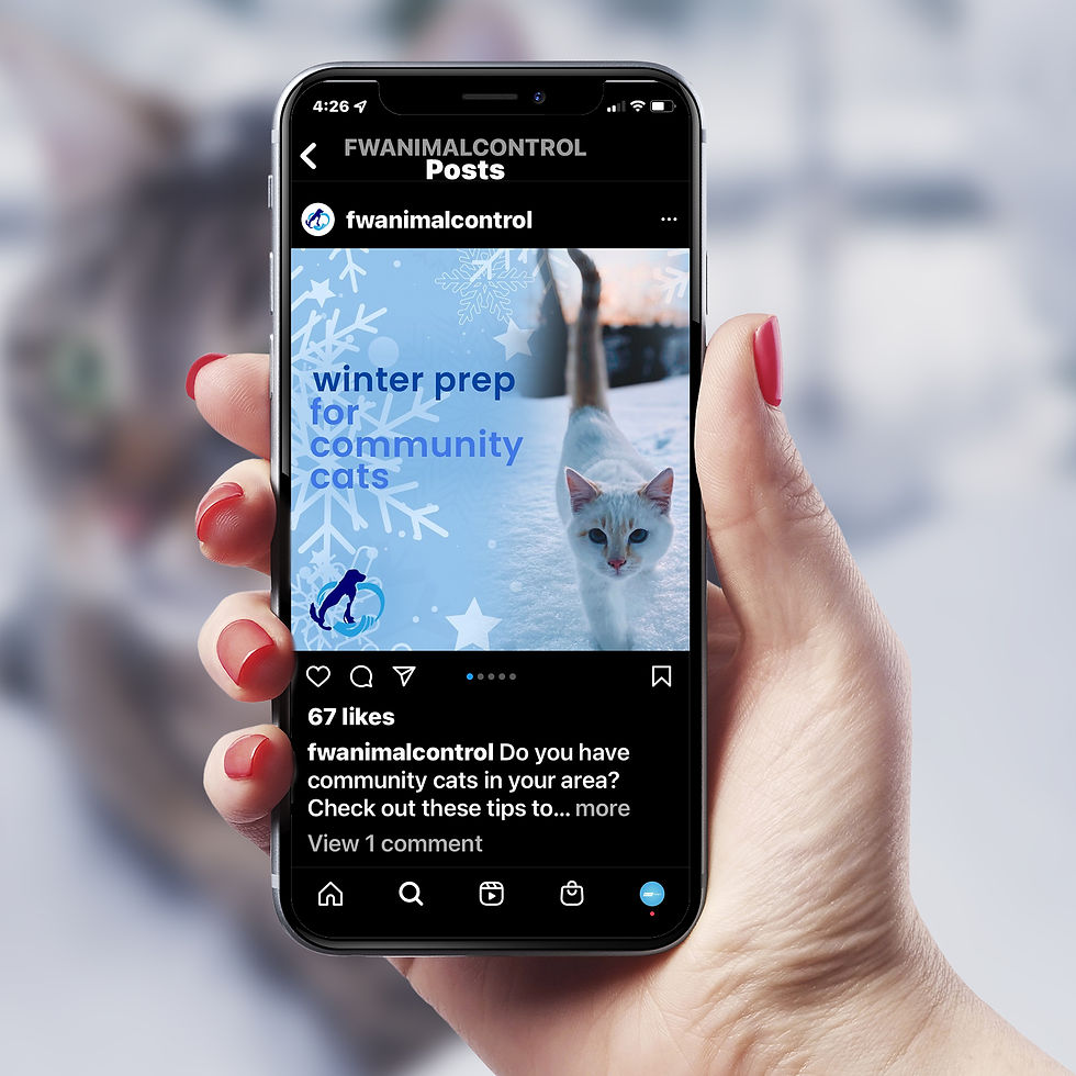Instagram Graphic