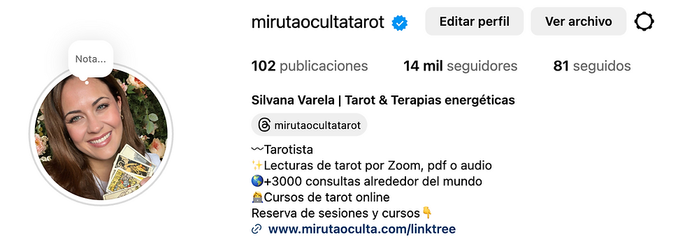 perfil de instagram