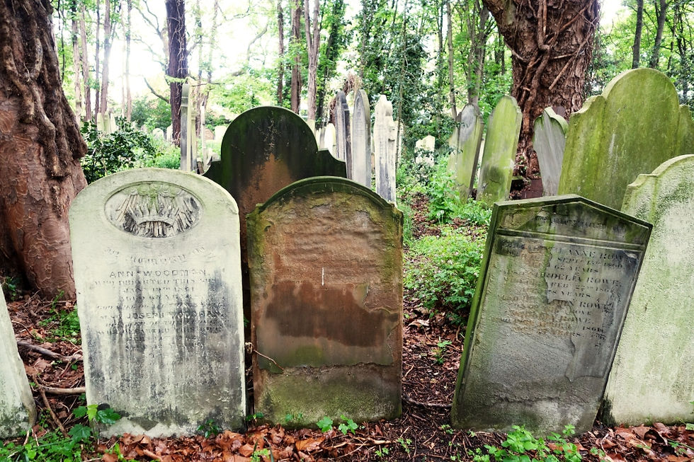Graves closely packed together under the branches of ancient looking trees.