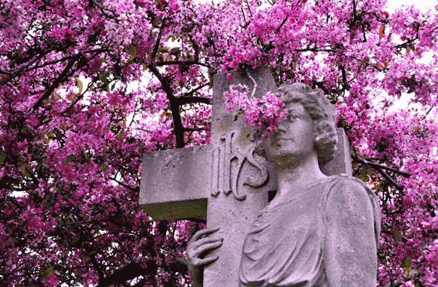 West Norwood Cemetery in Spring, 2013