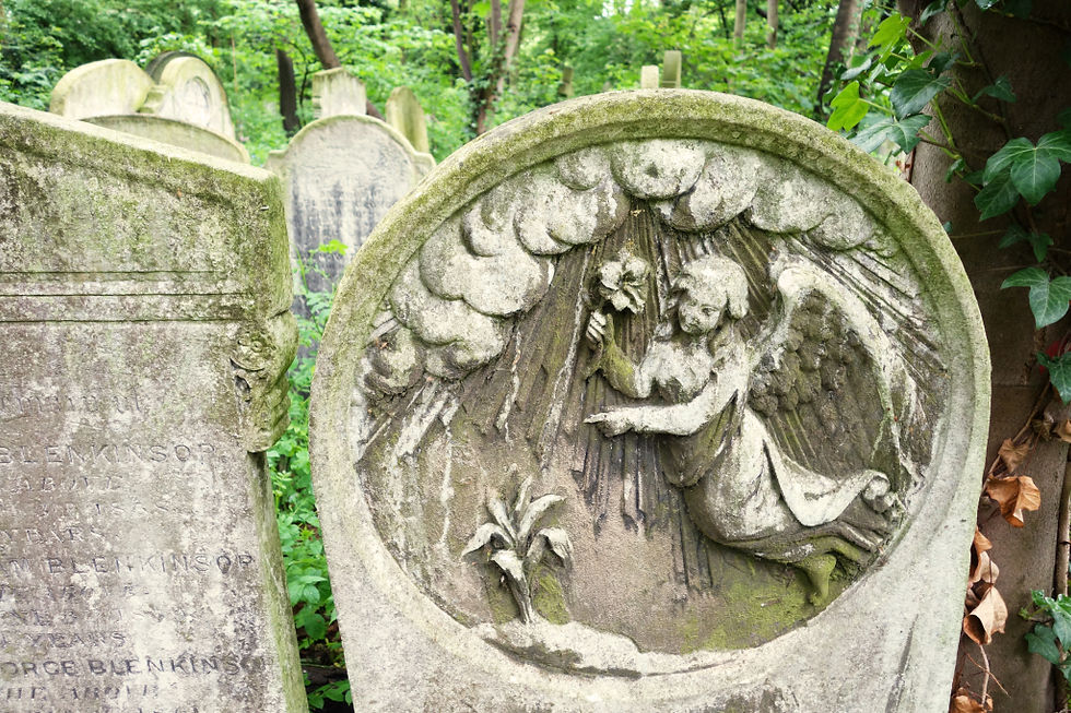 Angels dance among the trees