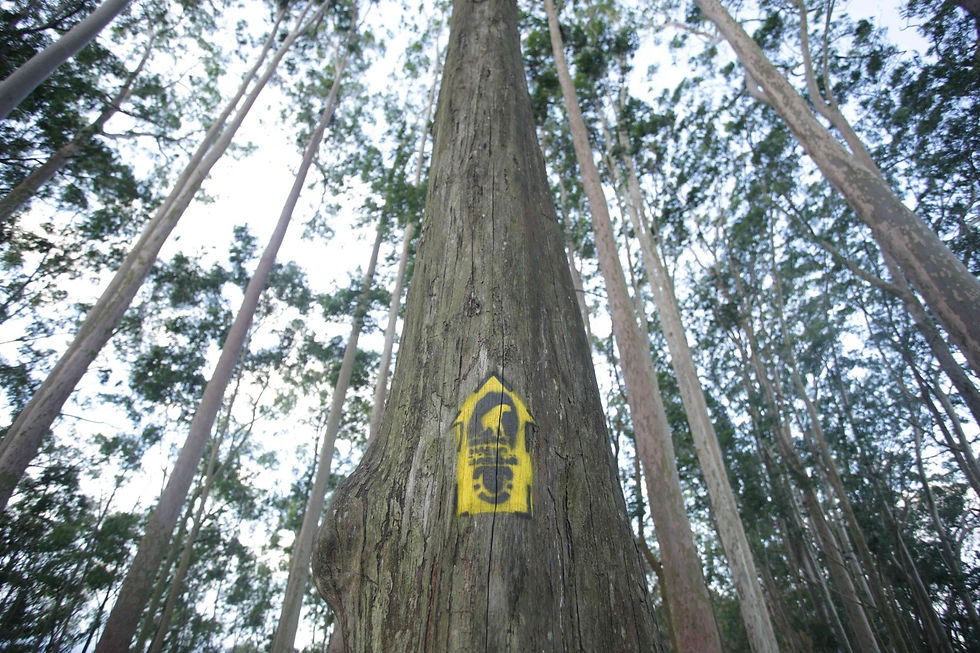 ree