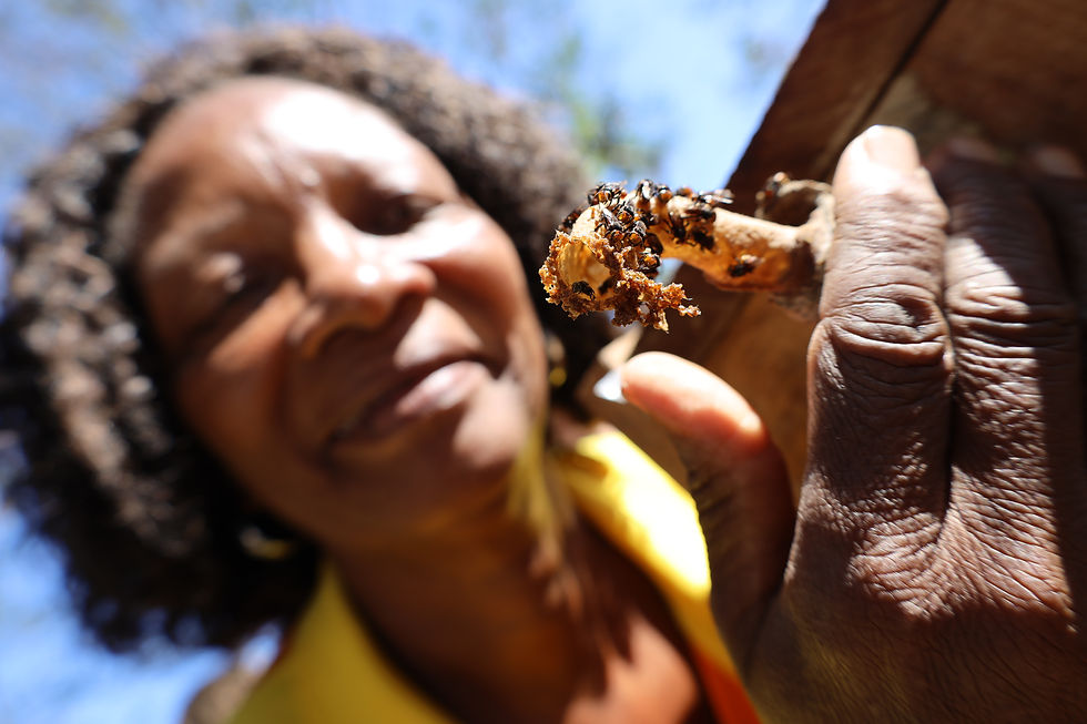 Foto: Luciana Carneiro / Prefeitura de Niterói