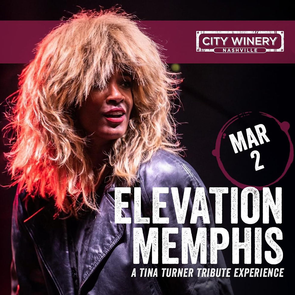Tina Turner Show City Winery Nashville