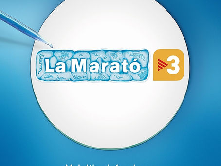 MARATÓ TV3 2017