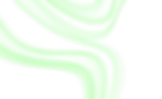 lineas copia.webp