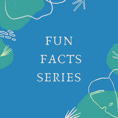 Fun facts series