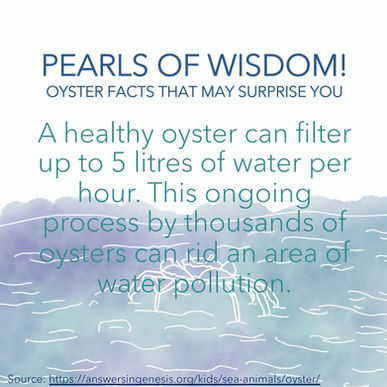 Fun Fact #2