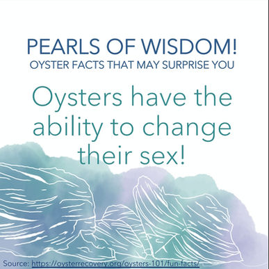 Fun fact #1