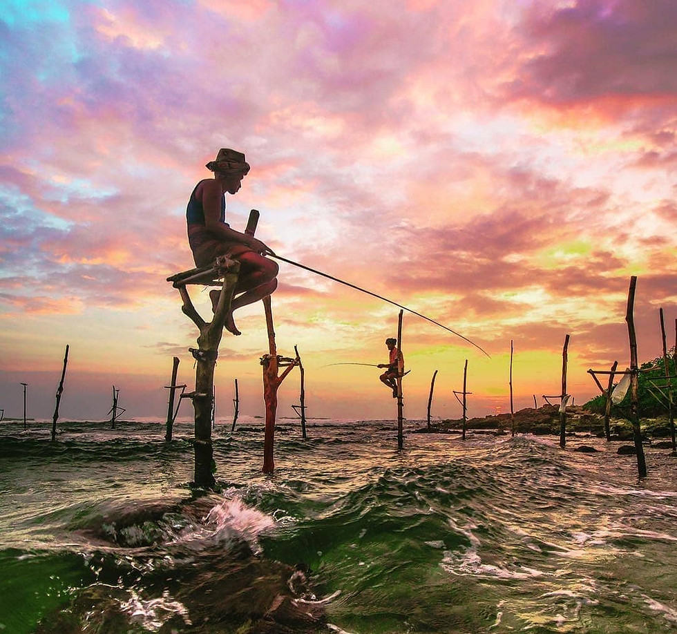 Sri Lanka Stilt Fishing .jpg