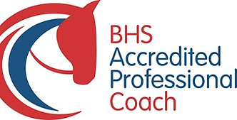 BHS Acc Pro Coach logo COL.JPG