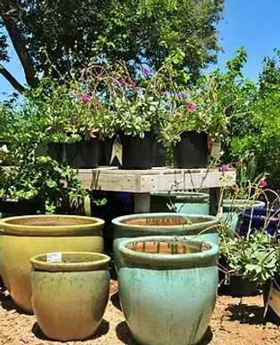 gardenhaus.webp