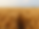 Screen Shot 2023-07-18 at 3.35.42 PM.png