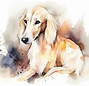 saluki-adoravel-cachorrinho-ilustracao-em-aquarela-com-manchas-de-cor-todas-as-racas-de-ca