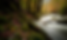 nathan-anderson-bnUXhIyf0i0-unsplash_edited copiar 2.png