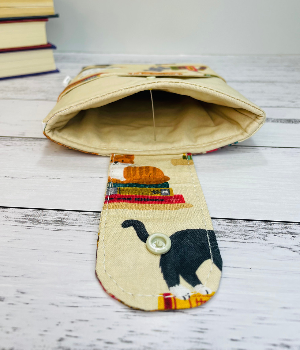 Thumbnail: The Book Nook Cat
