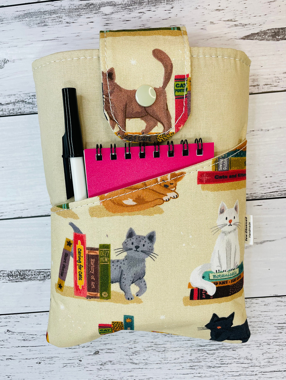 Thumbnail: The Book Nook Cat
