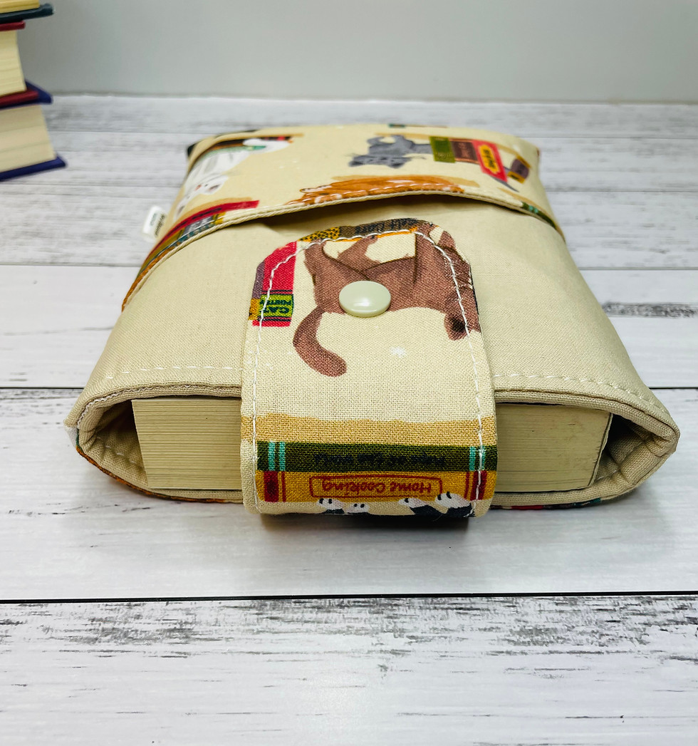 Thumbnail: The Book Nook Cat