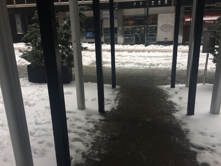 Day 4: Storm Stella Strikes!