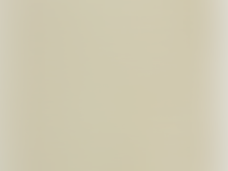 Primeiro ano de vida