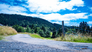 DSCF5867.jpg