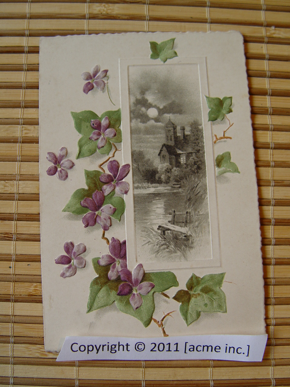 http://www.acme-inc.co.uk/greetingscards/DSC05491.jpg
