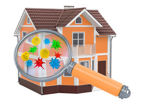 Mold Load Explained: