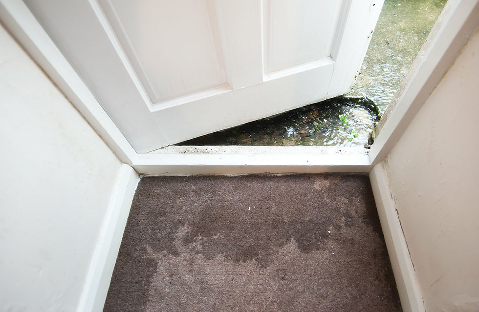 My House Flooded—What Do I Do Now?
