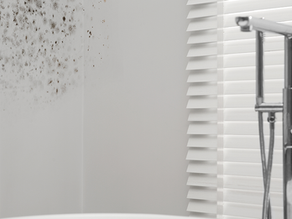 How Much Mold Is Too Much to Deal With Yourself?