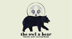 Owl and Bear