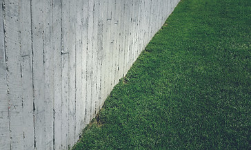 Concrete Wall and Grass