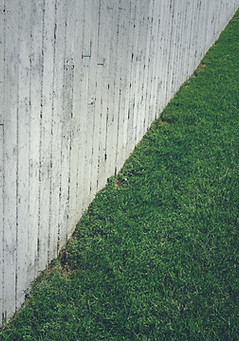 Herbe Pelouse avec mur de béton