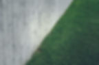 Grass Lawn with Concrete Wall