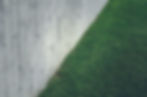 Green lawn