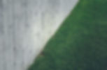 Concrete Wall and Grass