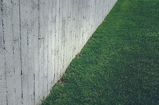 Grass Lawn with Concrete Wall
