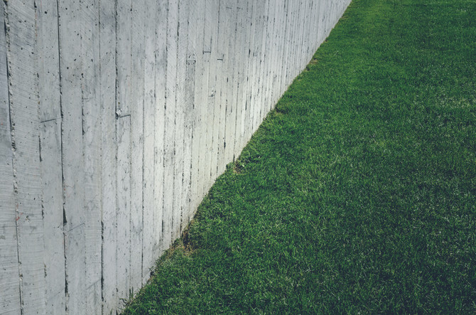 Synthetic vs. Real Lawns Part I