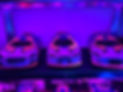 54E122FA-2F14-4C1E-858C-9E493A56592E.jpeg
