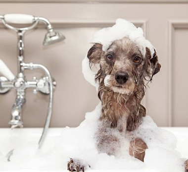 Untitled design (15).jpg