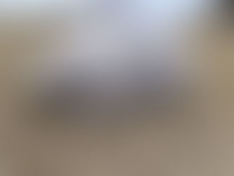 POR PRIMERA VEZ EN 40 AÑOS NACE UN YUNCO EN ISLA CHAÑARAL