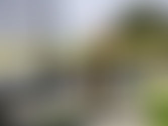 EX CORONEL DE LA FACH ATROPELLÓ A MUJER Y NO LE PRESTÓ AYUDA: LA VÍCTIMA MURIÓ