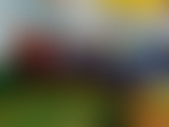 PLANTA “PRILLEX AMÉRICA” DE ENAEX RECIBIÓ VISITA DE FUTUROS ALUMNOS DUALES