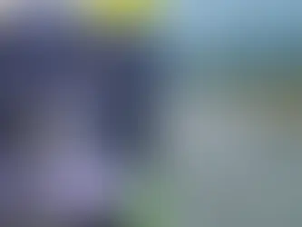 BLACKY: PERRITO ABANDONADO EN CARRETERA DE COLINA FUE ADOPTADO Y TIENE NUEVO HOGAR