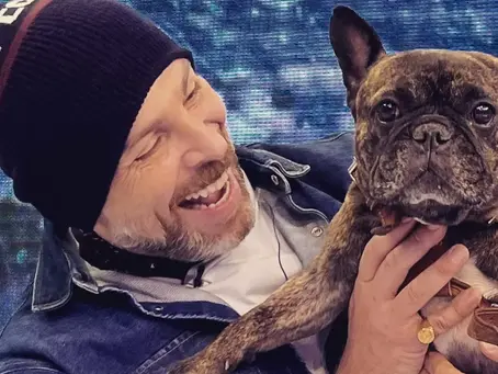 JOSÉ ANTONIO NEME LLAMA A IMPULSAR LEY QUE OTORGUE UN DÍA DE DUELO TRAS MUERTE DE MASCOTAS