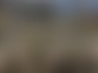 LOS TRASTORNOS MENTALES SON LA PRINCIPAL CAUSA DE LICENCIA MÉDICA EN CARABINEROS