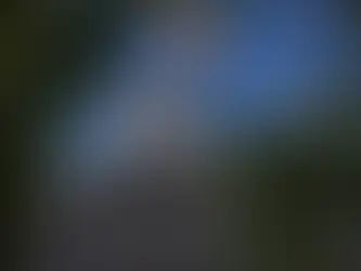 TRIBUNAL SUPREMO DE ESPAÑA ESTABLECE QUE BESO NO CONSENTIDO ES UNA AGRESIÓN SEXUAL