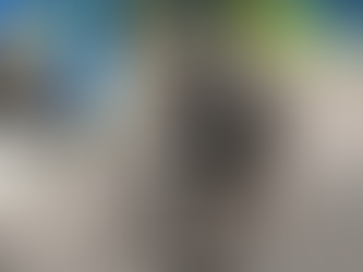 CORTE DE APELACIONES NEGÓ LA EXPULSIÓN DE MASCOTA DE UN RESIDENTE DE EDIFICIO