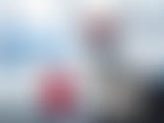 GOBIERNO ANUNCIA FACILIDADES PARA VIAJAR EN AVIÓN CON MASCOTAS